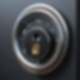 A digital lock symbolizing secure online access