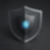 Antivirus Protection Shield for HP Laptop