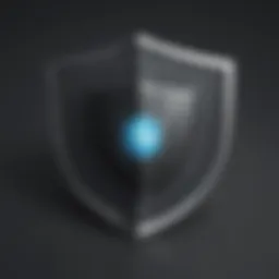 Antivirus Protection Shield for HP Laptop