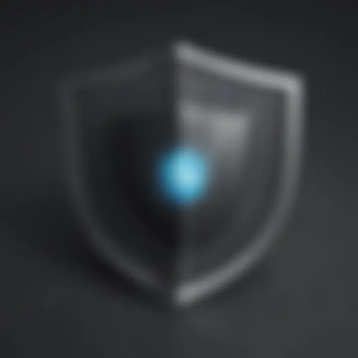 Antivirus Protection Shield for HP Laptop