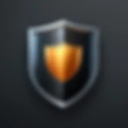 Illustration of Shield Icon for Antivirus Protection