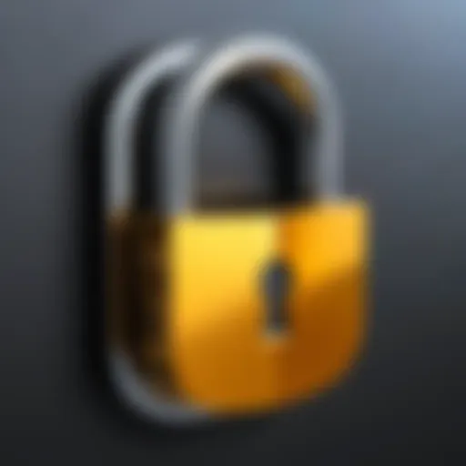 Secure external hard drive with encryption padlock
