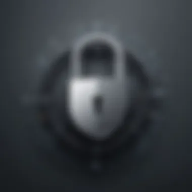 Sophisticated lock symbol representing secure online connections