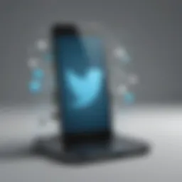 Illustration depicting iPhone screen with blocked Twitter icon