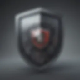 Cybersecurity Shield