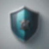 Illustration of Cybersecurity Shield
