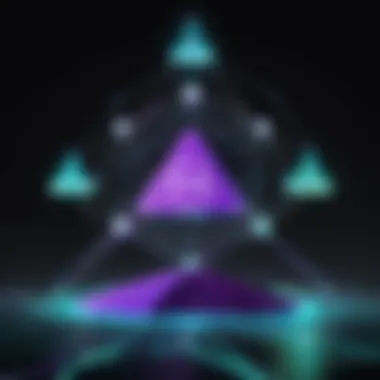 A visual representation of the Tor network architecture