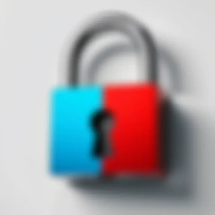 A secured lock symbolizing identity theft protection