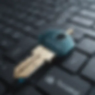 Cyber Access Key