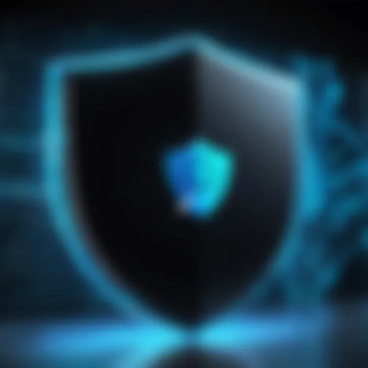 Illustration of a digital shield protecting personal information