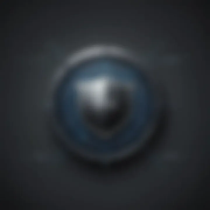 Digital Asset Protection Shield