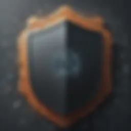 Digital Fortification Shield