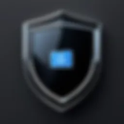 Digital Privacy Shield