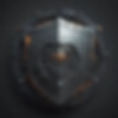 Fortifying Digital Fortresses: The Shield of Online Security Digital Security Shield