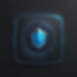Digital Security Software Protection Icon