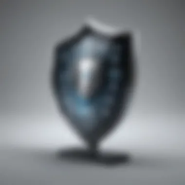Enhancing Online Privacy with Digital Shield Digital Shield Concept
