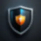 Digital Shield Icon representing online security