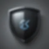 Digital shield icon representing online security