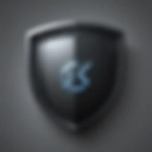 Digital shield icon representing online security