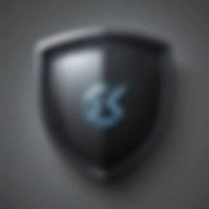 Digital shield icon representing online security