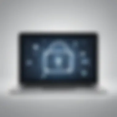 Protecting Sensitive Information Online Shielding Sensitive Data