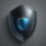 Enhanced Security Shield Icon