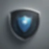 Digital Security Shield