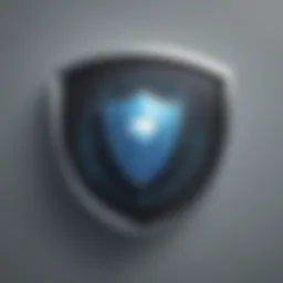 Digital Security Shield