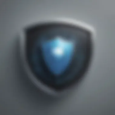 Digital Security Shield