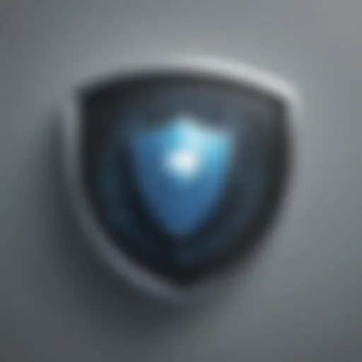 Digital Security Shield