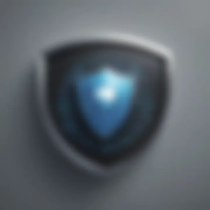 Digital Security Shield