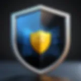 Privacy protection shield symbolizing online security