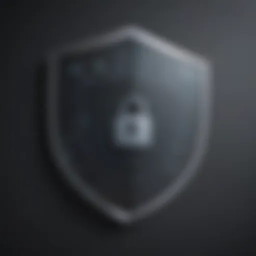 Shield with digital lock symbol