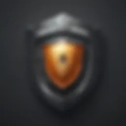 Shield with digital lock icon