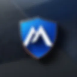 NordVPN logo showcasing its robust security features