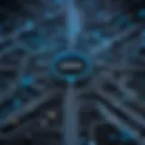 A labyrinthine network representing dark search engines