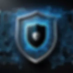 Illustration of a digital shield representing online security