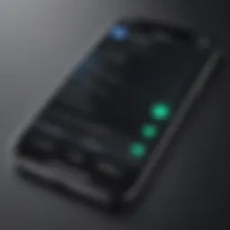 Overview of call identification app interface on iPhone