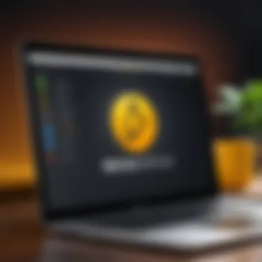 Norton Antivirus logo displayed on a macOS interface