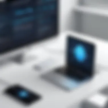 Wireless Network Vulnerability Assessment in Action Wireless network vulnerability assessment in action