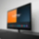 Elegant Foxtel Go Interface