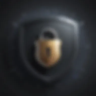 Securing Online Privacy Illustration of a shield with lock symbol