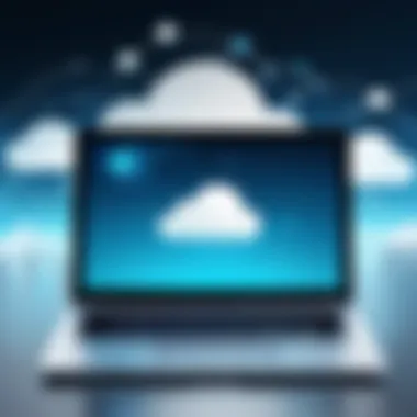 Future trends in cloud-based identity management