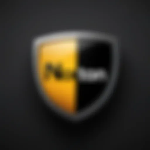 Norton Antivirus Logo