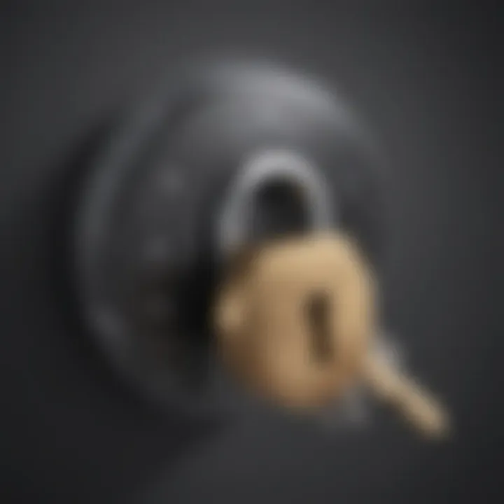 Illustration of a lock and key symbolizing safe browsing practices