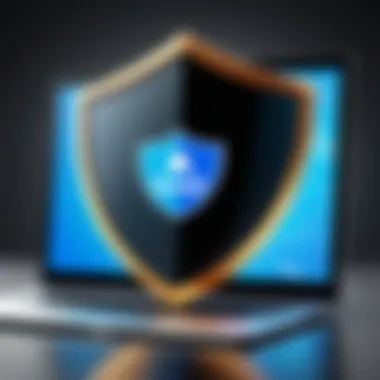 Illustration of online privacy shield
