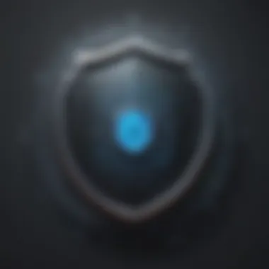 Guarding Your Digital Identity Identity Protection Shield