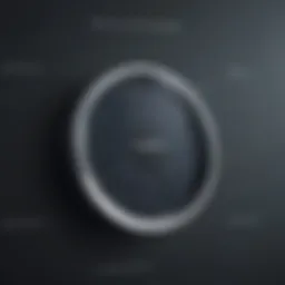 Intricate Pandora Music Interface