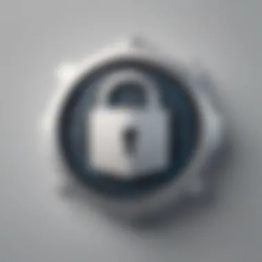 Privacy Lock Icon symbolizing data protection