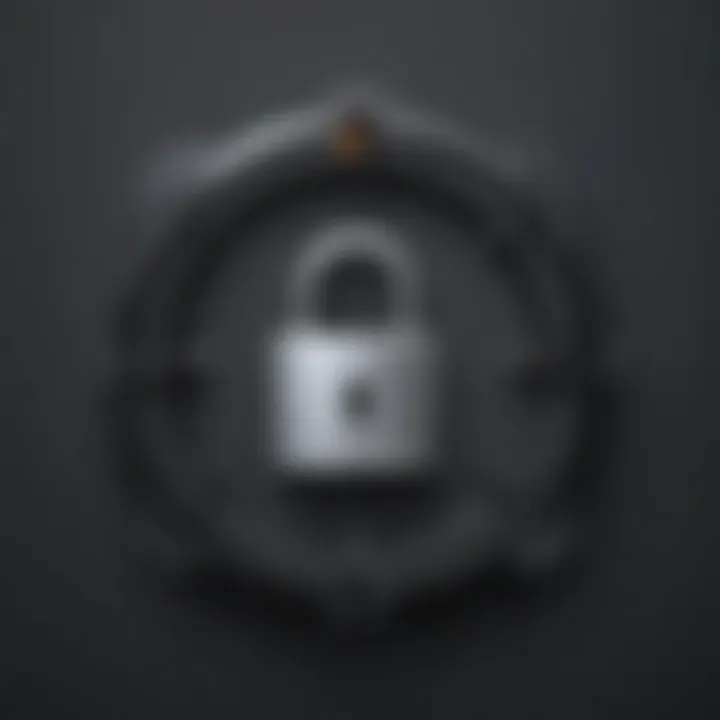 Lock symbol representing secure connection